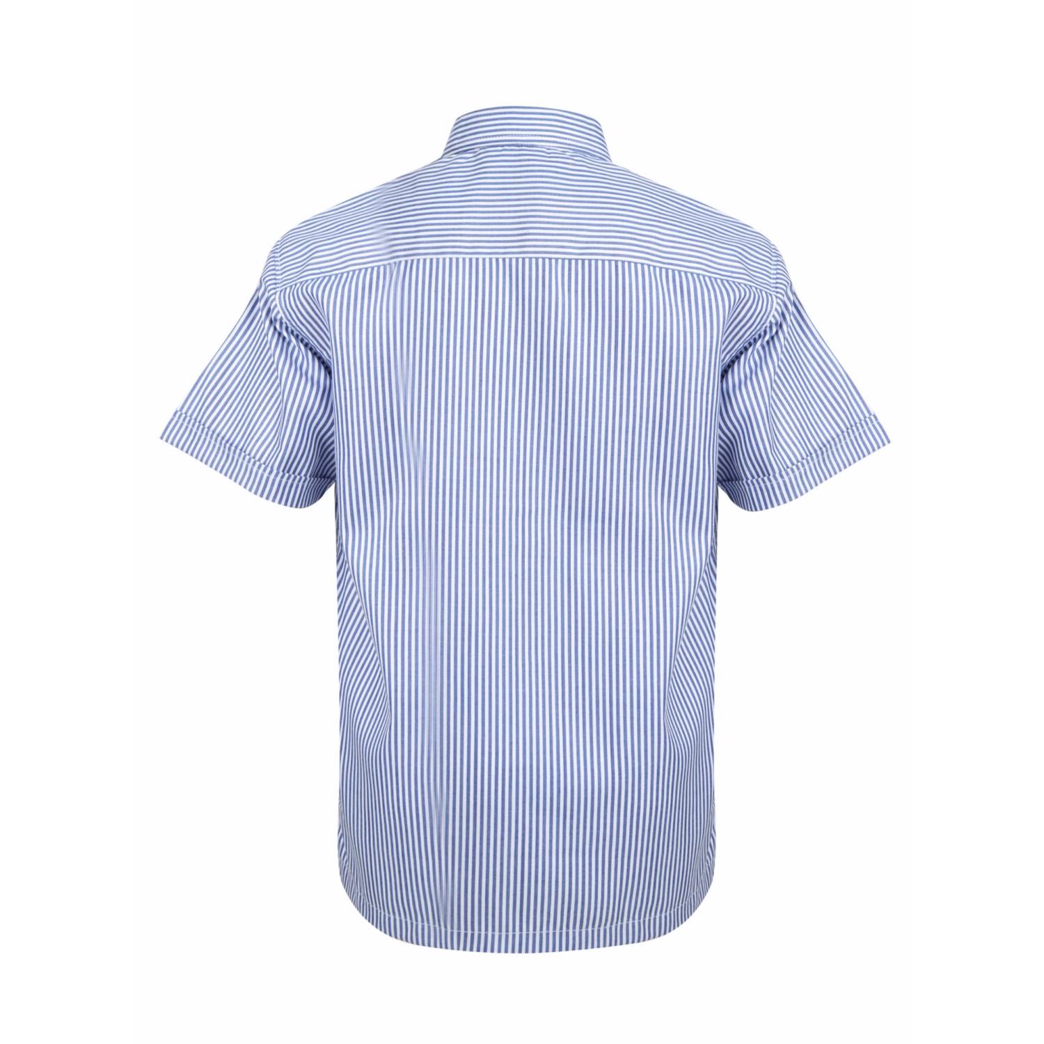 CA CBSE Primary Boys Shirt - Image 3